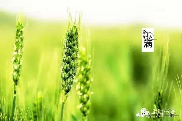 现代农民增加收入的出路——仍然是搞副业-繁星副业