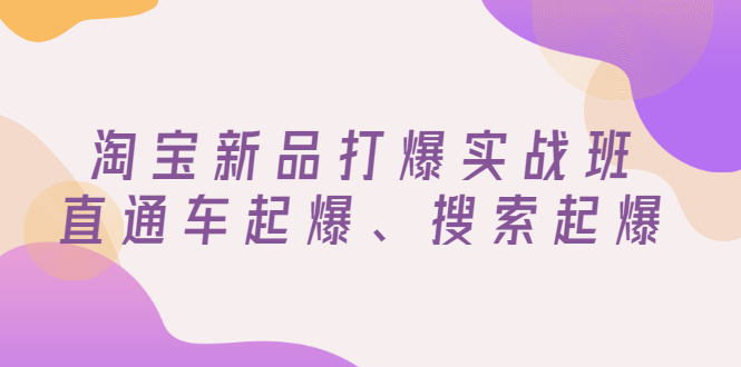 【副业项目3372期】淘宝新品打爆实战班（淘宝店铺如何增加流量和访客）-繁星副业