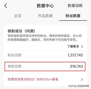 如何正确利用抖音流量池-繁星副业