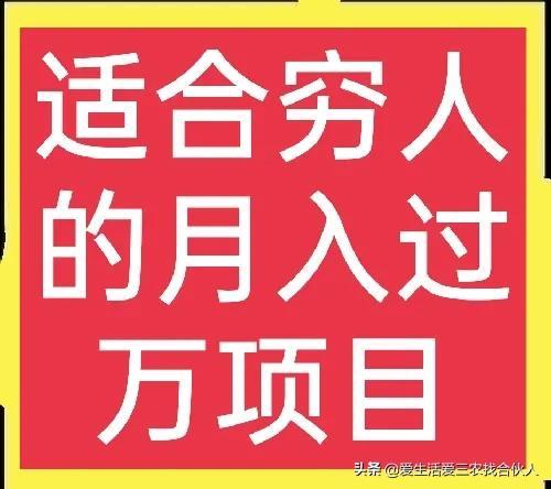 适合农村人做的赚钱项目（在农村做什么项目好）-繁星副业