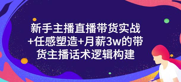【副业项目3593期】新手如何做直播带货话术：信任感塑造+月薪3w的带货主播话术逻辑构建-繁星副业