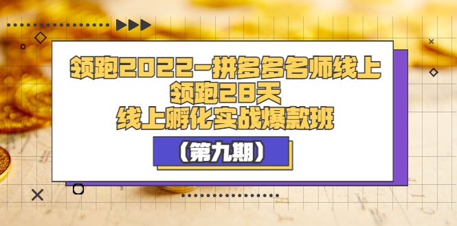 【副业项目3821期】拼多多名师线上领跑28天，拼多多线上孵化实操爆款班（第九期）-繁星副业