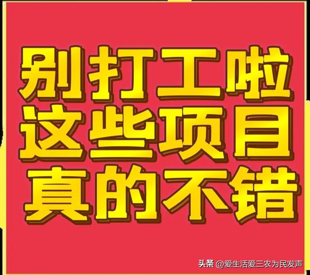 比打工强的小生意，农村小项目有哪些-繁星副业