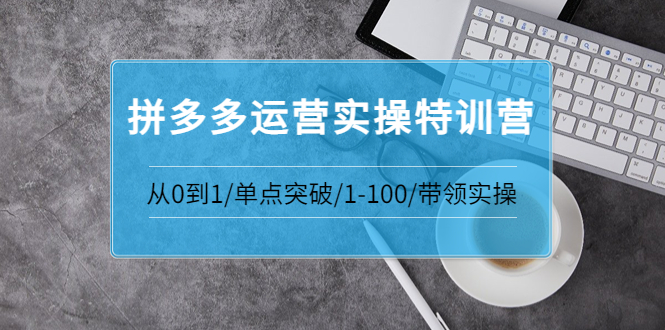 【副业项目3863期】拼多多运营实操特训营：拼多多直通车进阶优化技巧，拼多多如何操作利润最大化-繁星副业