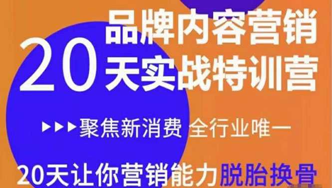 【副业项目3899期】《内容营销实操特训营》20天让你营销能力脱胎换骨（价值3999）-繁星副业