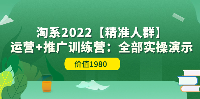 【副业项目3941期】淘系2022【精准人群】运营+推广训练营：全部实操演示-繁星副业