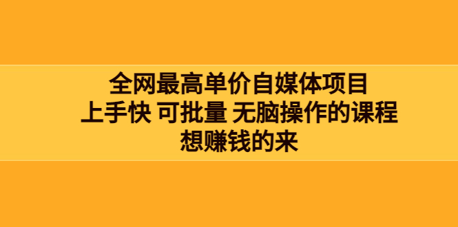 【副业项目3976期】全网最单高价自媒体项目：上手快 可批量 无脑操作的课程，想赚钱的来-繁星副业