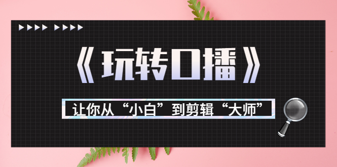 【副业项目3987期】月营业额700万+大佬教您《玩转口播》让你从“小白”到剪辑“大师”-繁星副业
