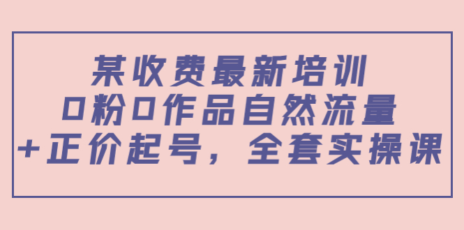 【副业项目4039期】某收费最新培训：0粉0作品自然流量+正价起号，全套实操课-繁星副业