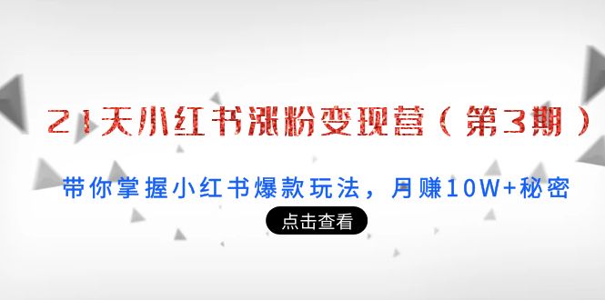 【副业项目4158期】21天小红书涨粉变现营（第3期）：带你掌握小红书爆款玩法，月赚10W+秘密-繁星副业