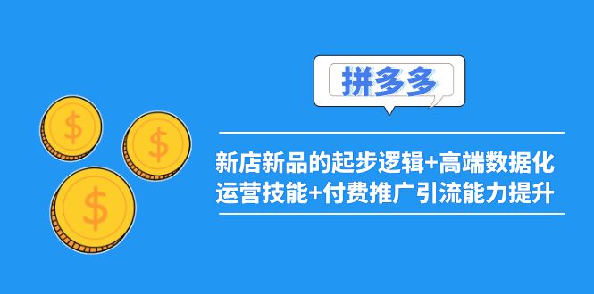 【副业项目4181期】2022拼多多：新店新品的起步逻辑+高端数据化运营技能+付费推广引流能力提升-繁星副业
