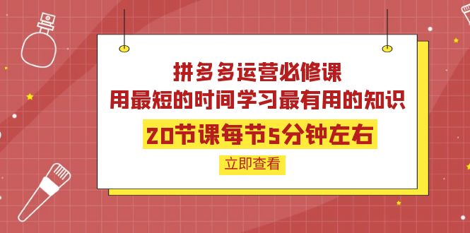 【副业项目4189期】拼多多运营必修课：20节课每节5分钟左右，用最短的时间学习最有用的知识-繁星副业