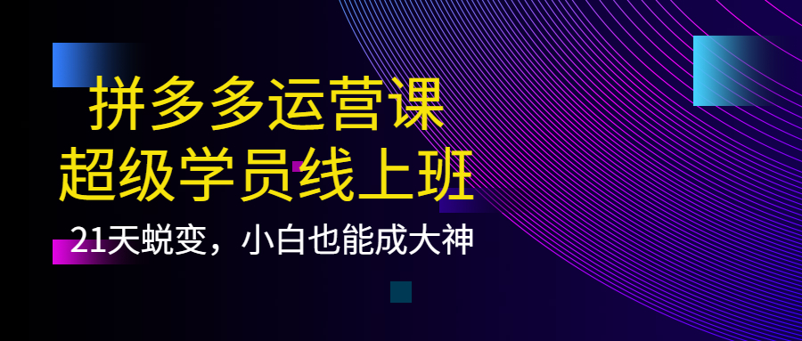 【副业项目4260期】拼多多运营课：超级学员线上班，21天蜕变，小白也能成大神-繁星副业