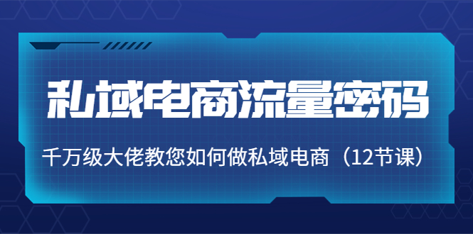 【副业项目4297期】私域电商流量密码：千万级大佬教您如何做私域电商（12节课）-繁星副业
