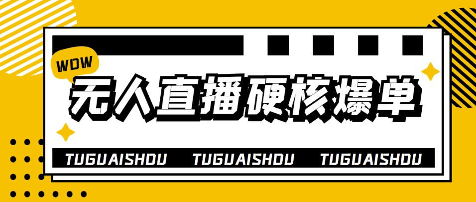 【副业项目4299期】大飞无人直播硬核爆单技术，轻松玩转无人直播，暴利躺赚-繁星副业