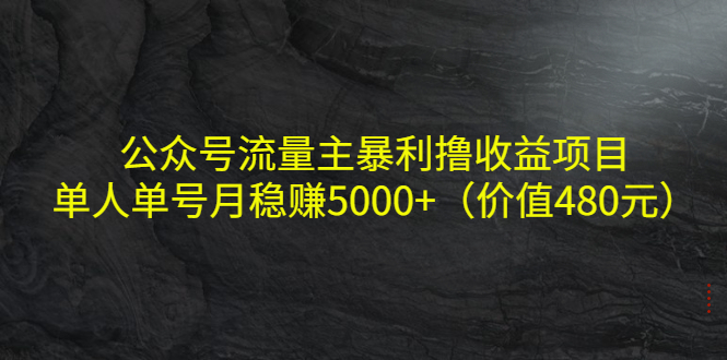 【副业项目4325期】公众号流量主暴利撸收益项目，单人单号月稳赚5000+（价值480元-繁星副业