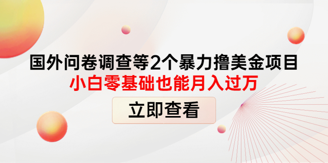 【副业项目4372期】国外问卷调查等2个暴力撸美金项目，小白零基础也能月入过万-繁星副业