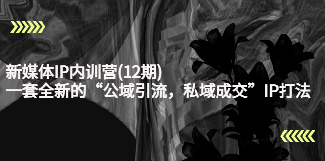 【副业项目4405期】新媒体IP内训营(12期)：一套全新的“公域引流，私域成交”IP打法，直接带走-繁星副业