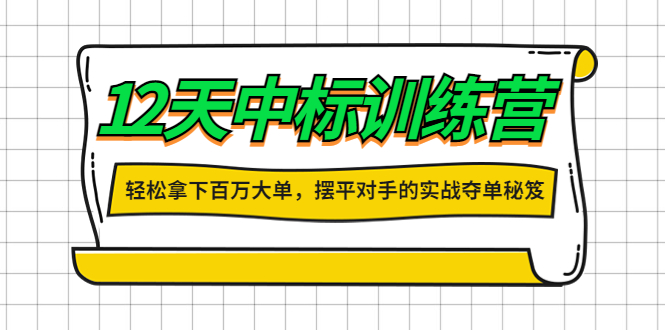 【副业项目4416期】12天中标训练营：轻松拿下百万大单，摆平对手的实战夺单秘笈-繁星副业