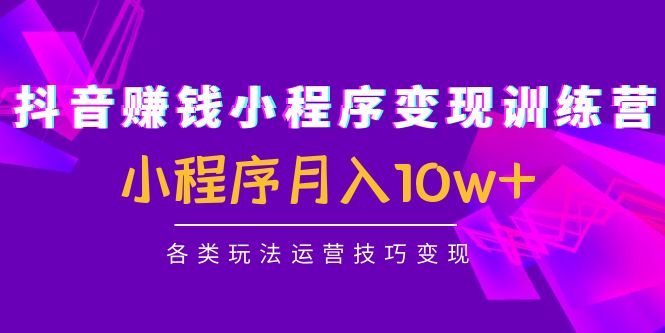 【副业项目4765期】抖音赚钱小程序变现训练营：小程序月入10w+各类玩法运营技巧变现-繁星副业