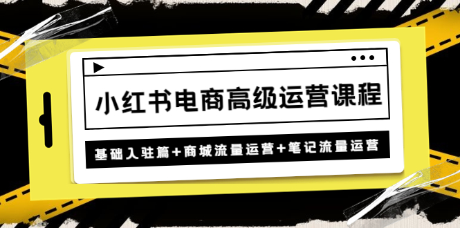 【副业项目4879期】小红书电商高级运营课程：基础入驻篇+商城流量运营+笔记流量运营-繁星副业