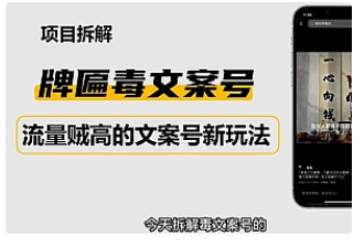 【副业项目4912期】2023抖音快手毒文案新玩法，牌匾文案号，起号快易变现-繁星副业
