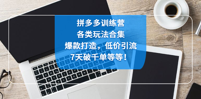 【副业项目4925期】拼多多训练营：各玩法合集，爆款打造，低价引流，7天破千单等等-繁星副业