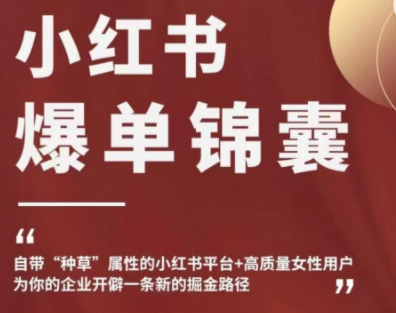 【副业项目4942期】小红书爆单锦囊，自带种草属性+高质量女性用户，为你的企业开辟一条新的掘金路径-繁星副业