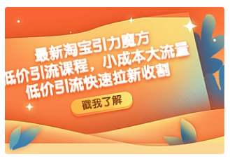 【副业项目4943期】最新淘宝引力魔方低价引流实操：小成本大流量，低价引流快速拉新收割-繁星副业