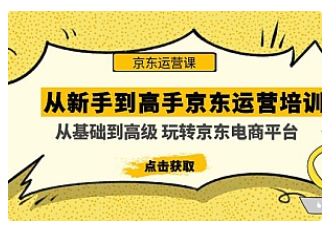 【副业项目5010期】从新手到高手京东运营培训：从基础到高级 玩转京东电商平台-繁星副业