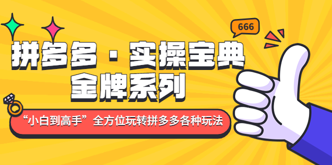 【副业项目5130期】拼多多·实操宝典：金牌系列“小白到高手”带你全方位玩转拼多多各种玩法-繁星副业
