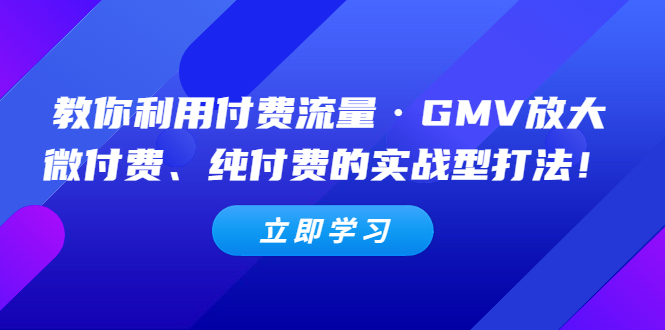 【副业项目5265期】教你利用付费流量·GMV放大，微付费、纯付费的实战型打法-繁星副业