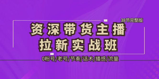 【副业项目5333期】资深·带货主播拉新实战班，0粉号/老号/节奏/话术/播感/流量-38节完整版-繁星副业
