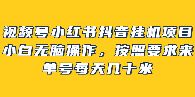 【副业项目2904期】视频号小红书抖音挂机项目，小白无脑操作，按照要求来，单号每天几十米-繁星副业