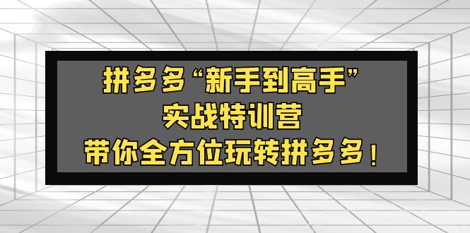 【副业项目5317期】拼多多“新手到高手”实战特训营：带你全方位玩转拼多多-繁星副业