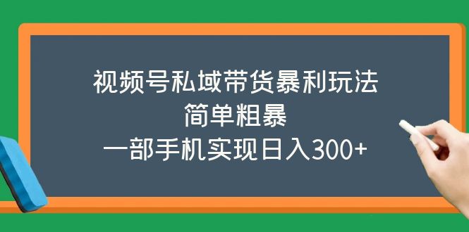 【副业项目5627期】视频号私域带货暴利玩法，简单粗暴，一部手机实现日入300+-繁星副业