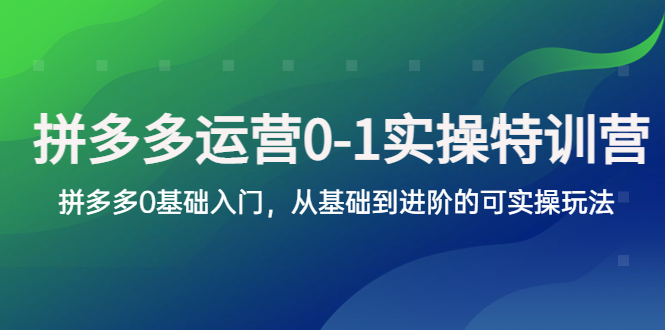 【副业项目5801期】拼多多-运营0-1实操训练营，拼多多0基础入门，从基础到进阶的可实操玩法-繁星副业