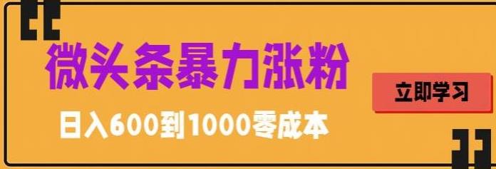 【副业项目5970期】微头条暴力涨粉技巧搬运文案就能涨几万粉丝，简单0成本，日赚600-繁星副业