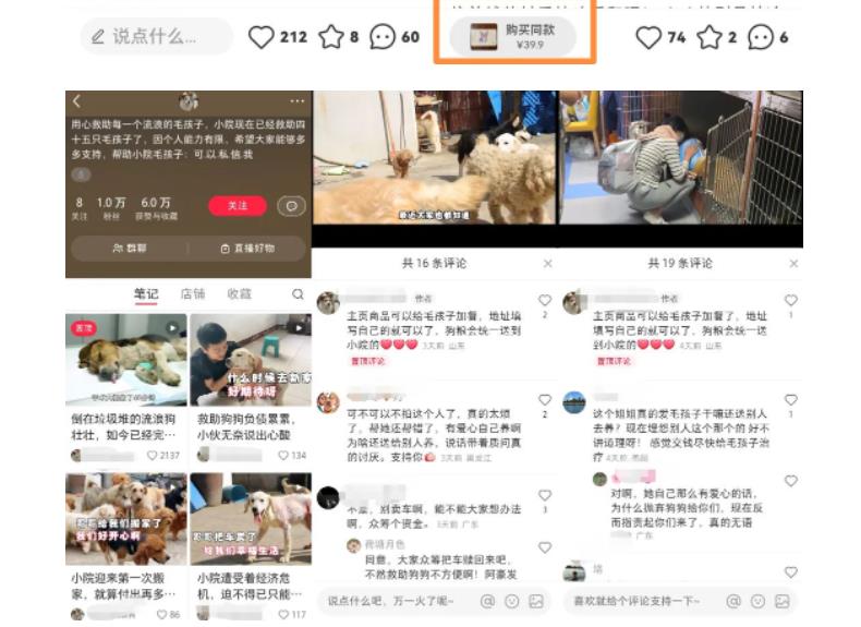 【副业项目5898期】小红书蓝海类赛道：小动物打赏与购买变现副业项目，一条龙玩法分享给你！-繁星副业