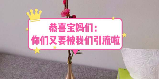 【副业项目5918期】恭喜宝妈们：你们又要被我们引流了（教程+222g资料）-繁星副业