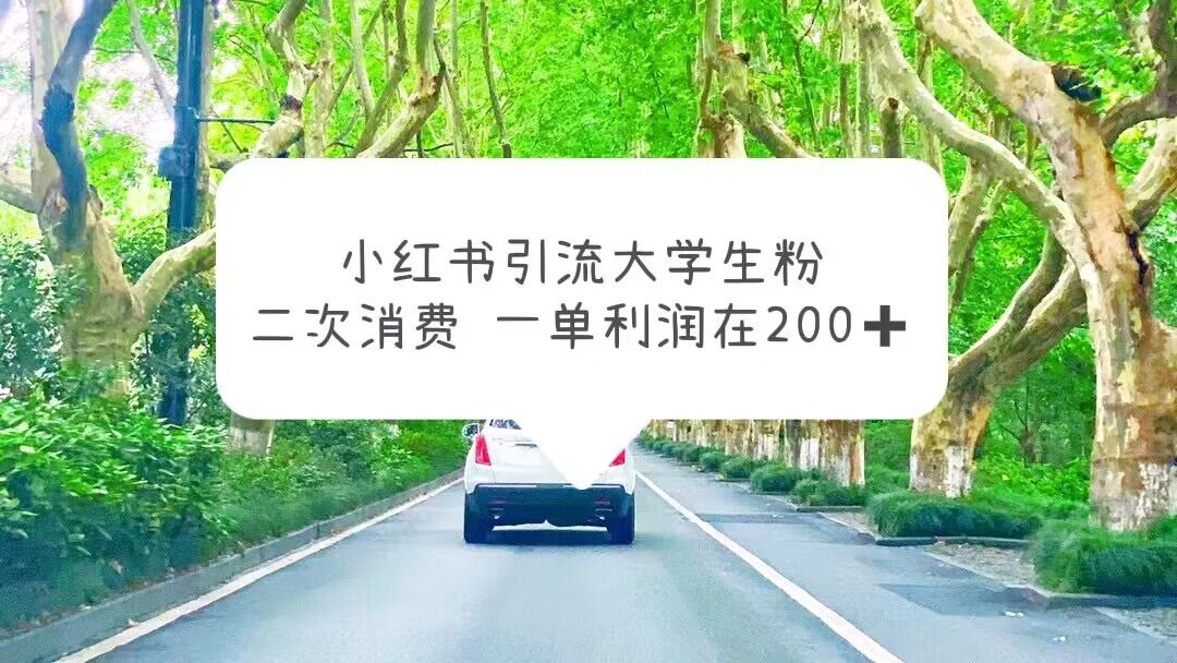 【副业项目5937期】小红书引流大学生粉，变现项目，一单利润在200+（教程+资源）-繁星副业