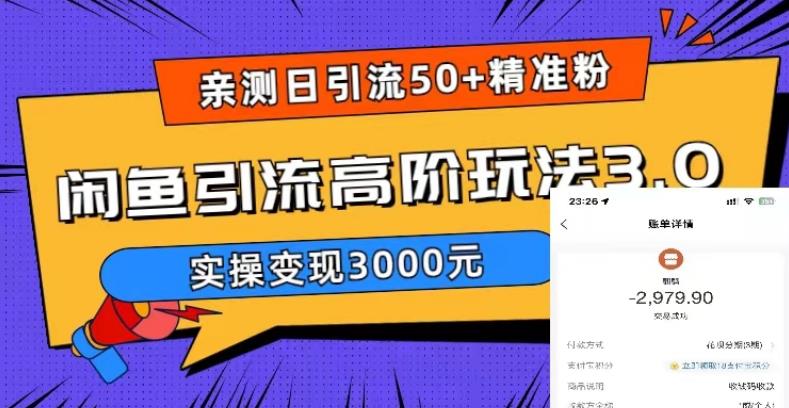 【副业项目5795期】实测日引50+精准粉，闲鱼引流高阶玩法3.0，实操变现3000元-繁星副业