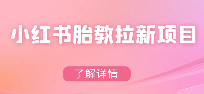 【副业项目6099期】小红书胎教网盘拉新项目，可在私域变现两次（作品制作教程+素材）-繁星副业