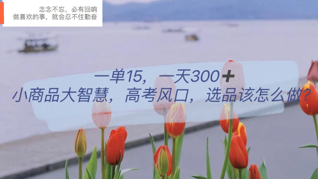 【副业项目6119期】一单15，一天300+，小商品大智慧，高考风口，选品该怎么布局-繁星副业