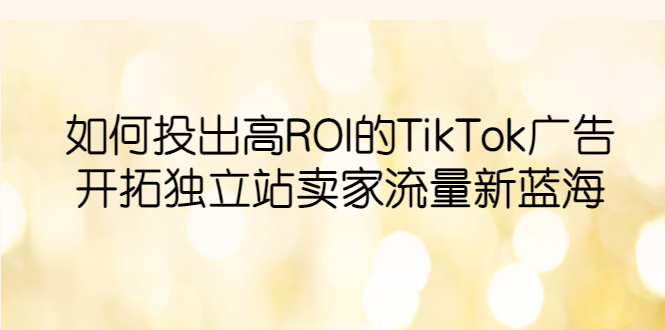 【副业项目6124期】如何投出高ROI·TikTok广告，开拓独立站卖家流量新蓝海-繁星副业