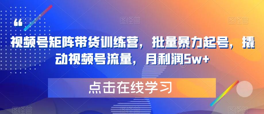 【副业项目6254期】视频号矩阵带货训练营，批量暴力起号，撬动视频号流量，月利润5w+-繁星副业