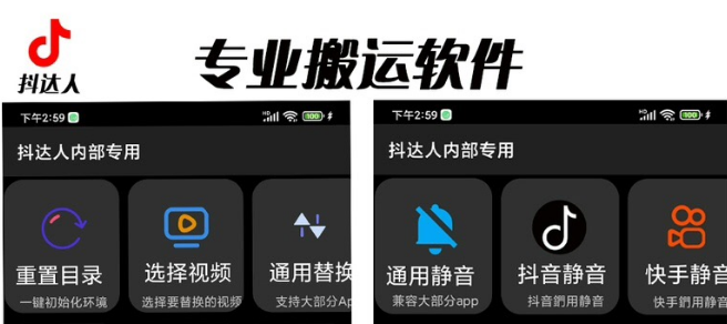 【副业项目6743期】对外收费699抖音傻瓜式一键搬运，起号专用5分钟一个视频《软件+详细教程》-繁星副业