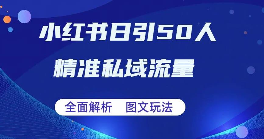 【副业项目6772期】全面解析小红书图文引流日引50私域流量【揭秘】-繁星副业