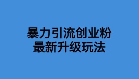 【副业项目6372期】价值1980一千个野路子暴力引流最新升级玩法【揭秘】-繁星副业