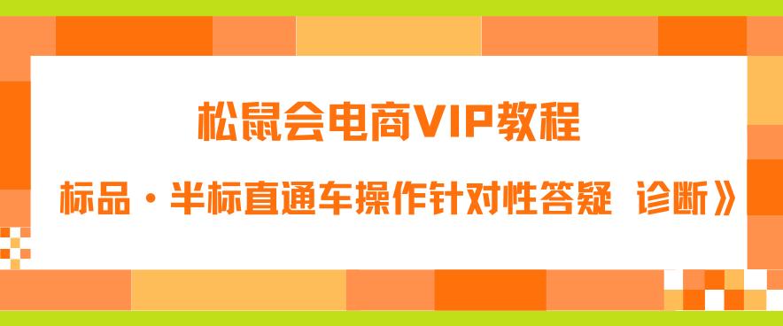 【副业项目6373期】松鼠会电商VIP教程：松鼠《付费推广标品·半标直通车操作针对性答疑&诊断》-繁星副业